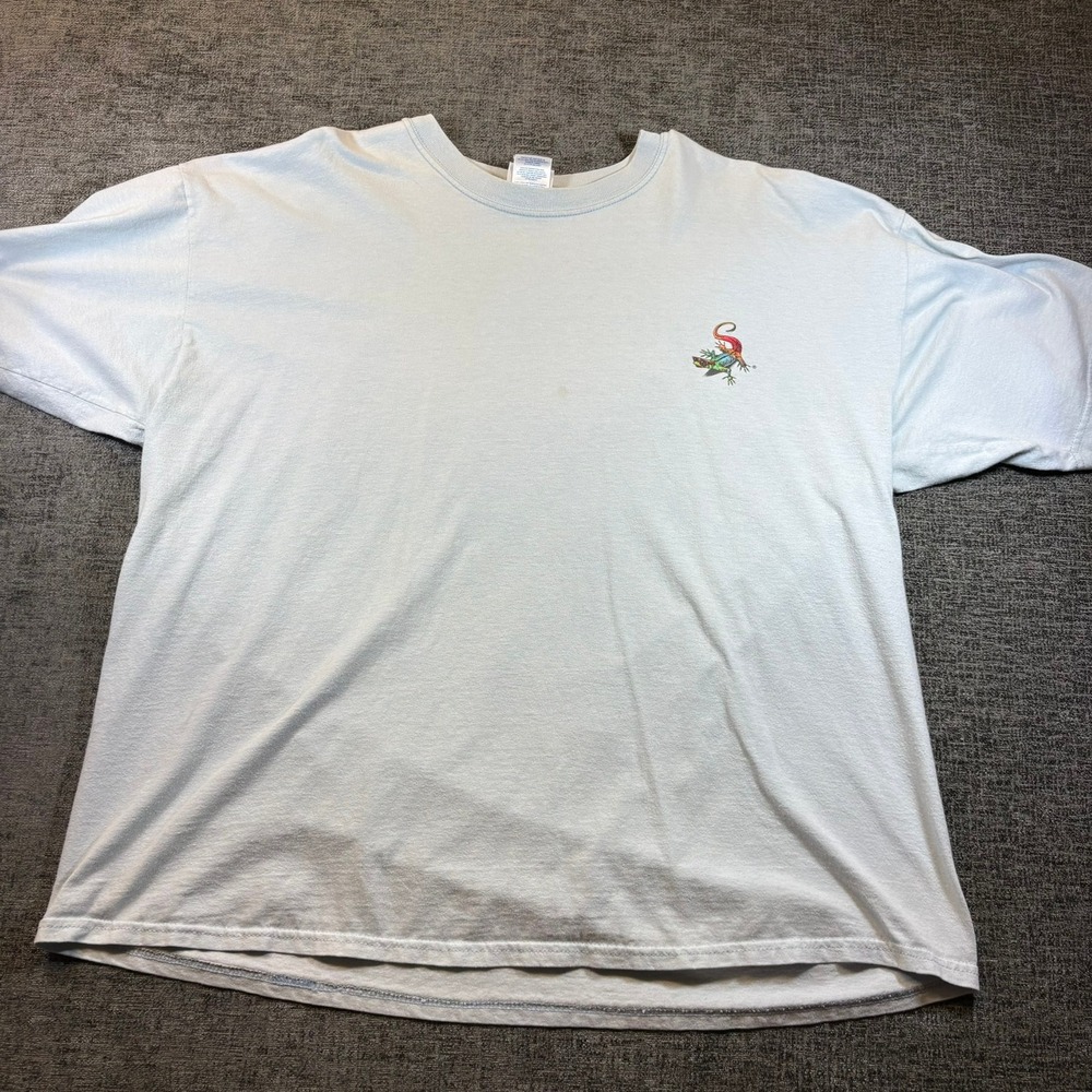 Mixed Brand Graphic T-Shirt Lot Men XL L M Multicolor Pokemon Viking Kokopelli